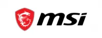 MSI