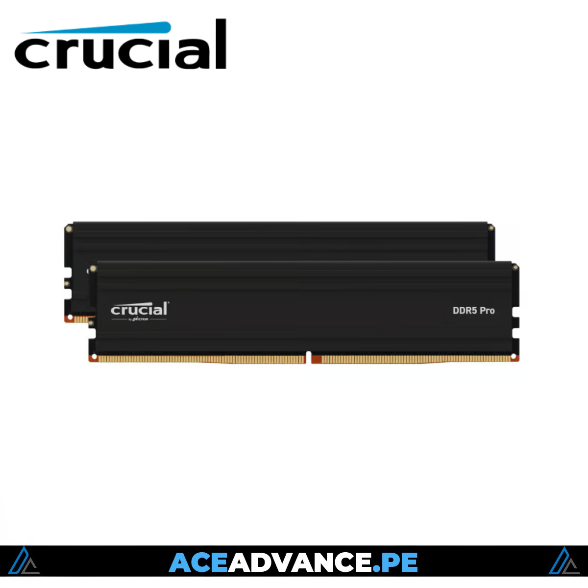 KIT MEMORIA RAM CRUCIAL BLACK DDR5 32GB(2X16) 6000MHZ