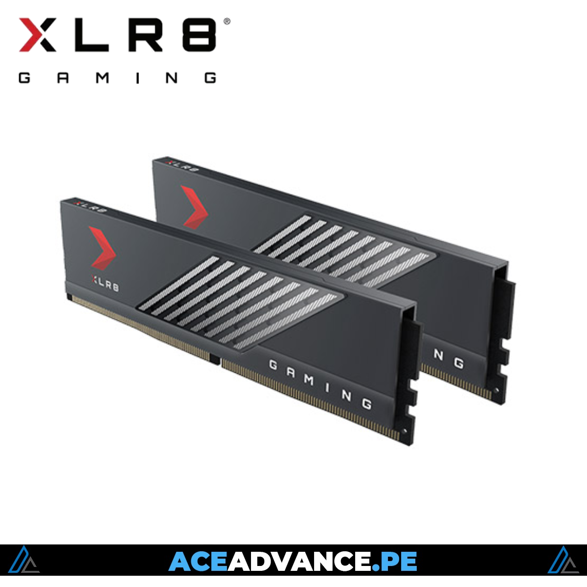 MEMORIA RAM XLR8 PNY 16GB DDR5 6000MHZ DDR5 CL36