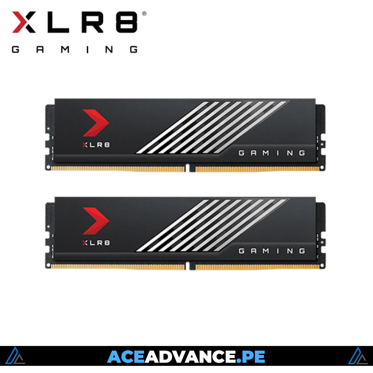 MEMORIA RAM XLR8 PNY 16GB DDR5 6000MHZ DDR5 CL36